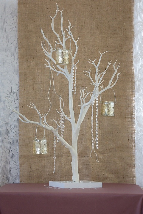 Manzanita Tree White